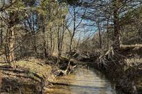 Undeveloped Land for sale in Grayson County, Kentucky