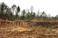 Undeveloped Land for sale in Bibb County, Alabama
