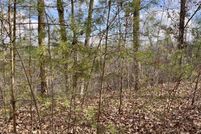 Property for sale in Sevier County, Tennessee
