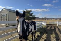 Residential Property for sale in Richland County, Wisconsin