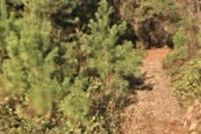 Property for sale in Sumter County, South Carolina