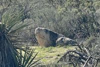 Property for sale in San Diego County, California