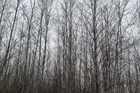 Property for sale in Oneida County, Wisconsin