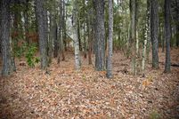Undeveloped Land for sale in Fairfield County, South Carolina