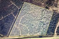 Undeveloped Land for sale in Live Oak County, Texas