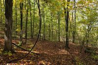 Undeveloped Land for sale in Essex County, New York