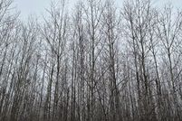 Property for sale in Oneida County, Wisconsin