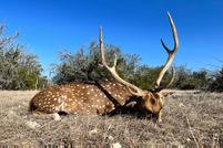 Farm Property for sale in Real County, Texas