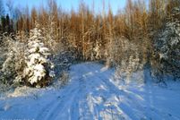 Property for sale in Matanuska-Susitna Borough, Alaska