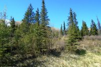 Undeveloped Land for sale in Anchorage Borough, Alaska