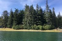 Undeveloped Land for sale in Petersburg Borough, Alaska