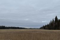 Undeveloped Land for sale in Southeast Fairbanks Borough, Alaska
