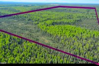 Undeveloped Land for sale in Fairbanks North Star Borough, Alaska