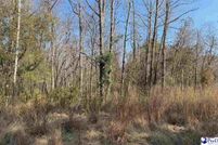 Property for sale in Marion County, South Carolina