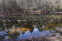 Undeveloped Land for sale in Anderson County, Texas