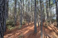 Undeveloped Land for sale in Sabine Parish, Louisiana