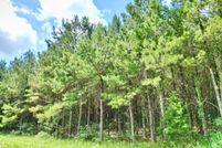 Property for sale in Pike County, Alabama