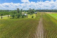 Property for sale in Bacon County, Georgia