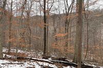 Property for sale in Greene County, Virginia