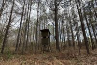 Property for sale in Pike County, Alabama