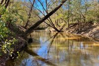 Undeveloped Land for sale in Choctaw County, Alabama