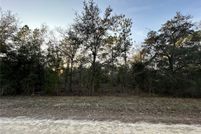Undeveloped Land for sale in Levy County, Florida