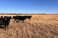 Property for sale in Seminole County, Oklahoma