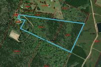 Undeveloped Land for sale in Shelby County, Texas