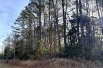 Undeveloped Land for sale in Conecuh County, Alabama