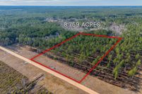 Undeveloped Land for sale in Bulloch County, Georgia