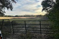 Undeveloped Land for sale in Wheeler County, Georgia