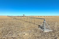 Undeveloped Land for sale in Gove County, Kansas