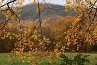 Property for sale in Cocke County, Tennessee