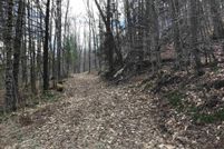Undeveloped Land for sale in Orange County, Vermont