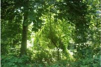 Undeveloped Land for sale in Barnstable County, Massachusetts