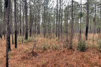 Property for sale in Baldwin County, Alabama