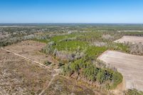 Undeveloped Land for sale in Berrien County, Georgia
