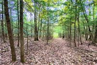 Undeveloped Land for sale in Steuben County, New York