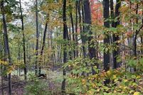 Undeveloped Land for sale in Chemung County, New York