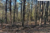 Undeveloped Land for sale in Alleghany County, North Carolina