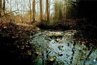 Lakefront Property for sale in Buckingham County, Virginia