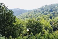 Undeveloped Land for sale in Sevier County, Tennessee