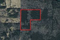 Undeveloped Land for sale in LaSalle Parish, Louisiana
