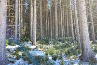 Property for sale in Caledonia County, Vermont