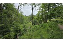 Property for sale in Curry County, Oregon