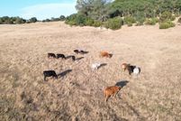 Property for sale in Calaveras County, California