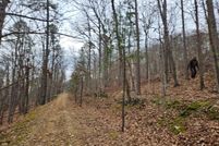 Property for sale in Clarke County, Virginia