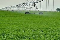 Farm Property for sale in Cascade County, Montana