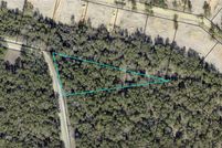 Undeveloped Land for sale in Wayne County, Georgia