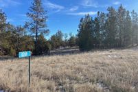 Undeveloped Land for sale in Custer County, South Dakota